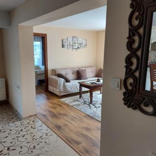 Студио Лидия - Velingrad - 9