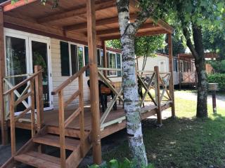 Camping Royal - Pettenasco - 9