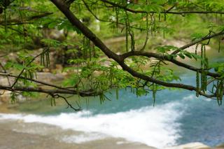 安吉 小森林 Little Forest Anji - Anji - 1