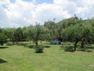 Apartment Wilma by Interhome - 8