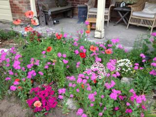 Foxingham Farm Bed & Breakfast - 1