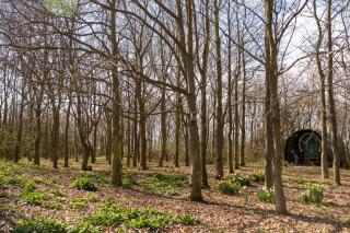 The Stables, Theberton - 9