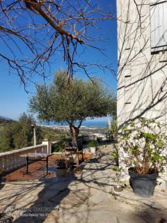 maison casa nova - 6