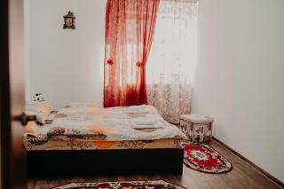 Casa Aureliana - Ciocăneşti - 7