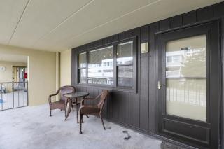 Canvasback - Ocean City - 9