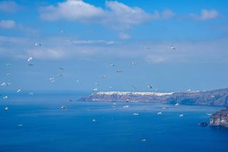 Archontiko Suites Santorini - Fira - 9