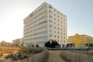 Golden Surf - Ocean City - 2