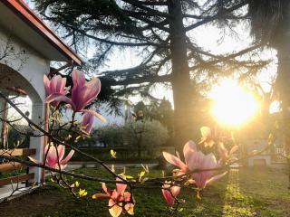I Tigli - Casalbordino - 5