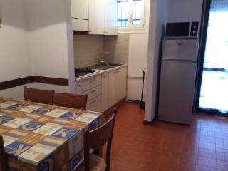 Apartments in Lido di Jesolo 24804 - 4