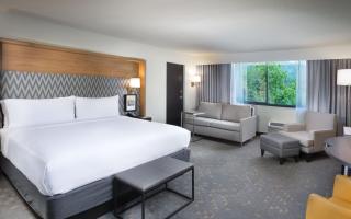 Holiday Inn Asheville East-Blue Ridge Pkwy by IHG - Asheville - 8