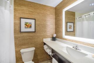 Holiday Inn - Terre Haute by IHG - 4