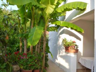 The apartment with air conditioned (for 1-5 people), in the quiet part of Porec - Poreč - 7