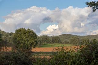 Tuscan Rustic Apartment - Massa Marittima - 4