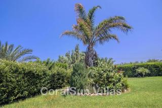 Marlin Beach Front Luxury Villa - 4 Bedrooms - Ayia Marina - 1