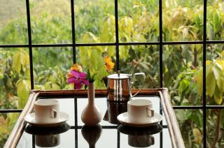 Planet Green Plantation Resorts, Wayanad, Kerala - 2