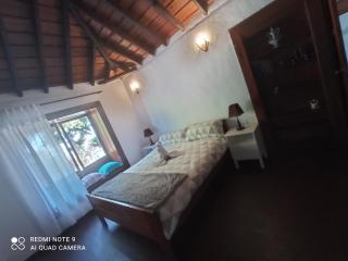 Galguen Paradise in the island of stars. Villa. - Breña Alta - 3