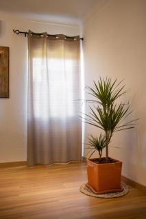 Fonte da Rosa Guest House APT2 - 5