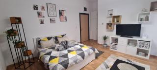 Apartman Delena - Novi Sad - 3