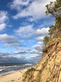 Ziemupes Muiža & SPA - 8