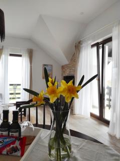 Lagom Apartments - Drežnik Grad - 9