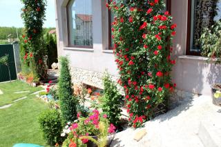 Pensiunea Vreau un Dan - 3