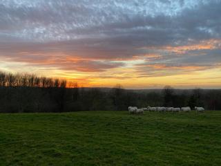 The Gardens - Daventry - 1