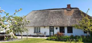 Haus-an-de-Marsch - Midlum - 9