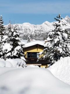The Seefeld Retreat - Central Family Friendly Apartments - Mountain Views - Seefeld in Tirol - 5