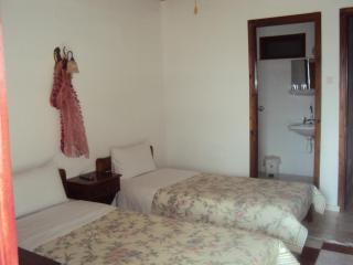Vassilis Guesthouse - Rapsáni - 4