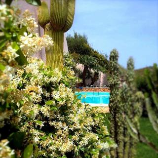 Villa Mariposa exclusive private pool - Budoni - 3