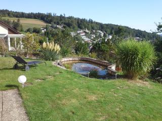 Ferienwohnung und B&B Chasa Janett - 2