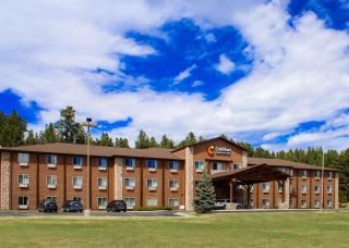 Comfort Inn & Suites - Custer - 9