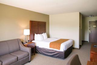 Comfort Inn & Suites - 3