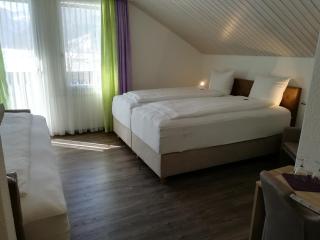 Hotel Rhodannenberg AG - Glarus - 7