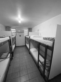 Quatro Ilhas Beach Hostel - Bombinhas - 4