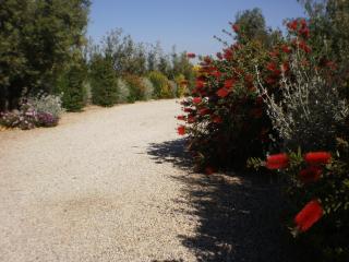 Locanda Degli Etruschi - Montalto di Castro - 5