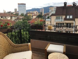 Karina Art Mountain View Apartment - Sofia - 4