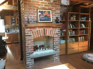 Karina Art Mountain View Apartment - Sofia - 5