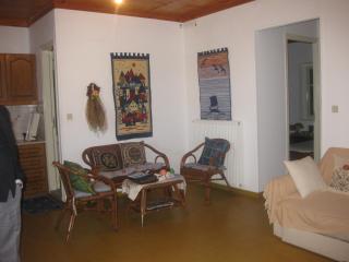 Sissy apartments by the sea - Katouna - 7
