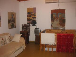 Sissy apartments by the sea - Katouna - 6
