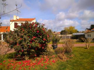 Gîte "La Belle Etoile" 2 nuits minimum, 3 étoiles - Le Fenouiller - 2