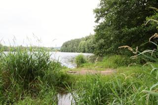 Ubytovani Zdarske vrchy - Světnov - 8