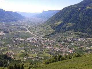 Residence Vellauerhof - Lagundo - 7