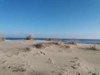 SOLEIL 4 ét - Saint-Cyprien-Plage - 5
