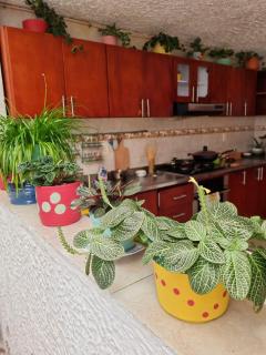Tatami Hostel - Bucaramanga - 6