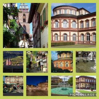 Ferienhaus Heil - Neustadt an der Weinstraße - 2