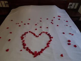 Family Hotel Arkan Han - 7