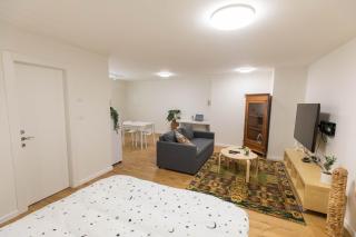 Sheba-Shik apartment, Tel hashomer שיבא-שיק, תל השומר,דירת סטודיו מקסימה! - Ramat Gan - 4