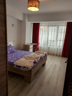 BYA Luxury - Valea Lupului - 3
