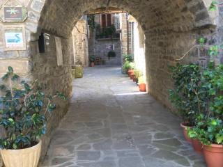 Casa Encuentra, en el Pirineo al lado de Ainsa - 4